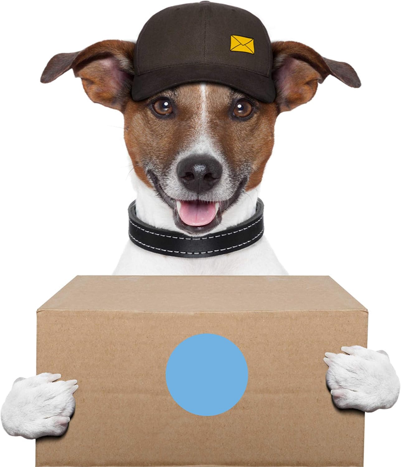 PARLAIM 3 Inch Round Color-Code Dot Stickers, 500 Color Coding Circle Labels per Roll Dispenser Box for Inventory, Light Blue