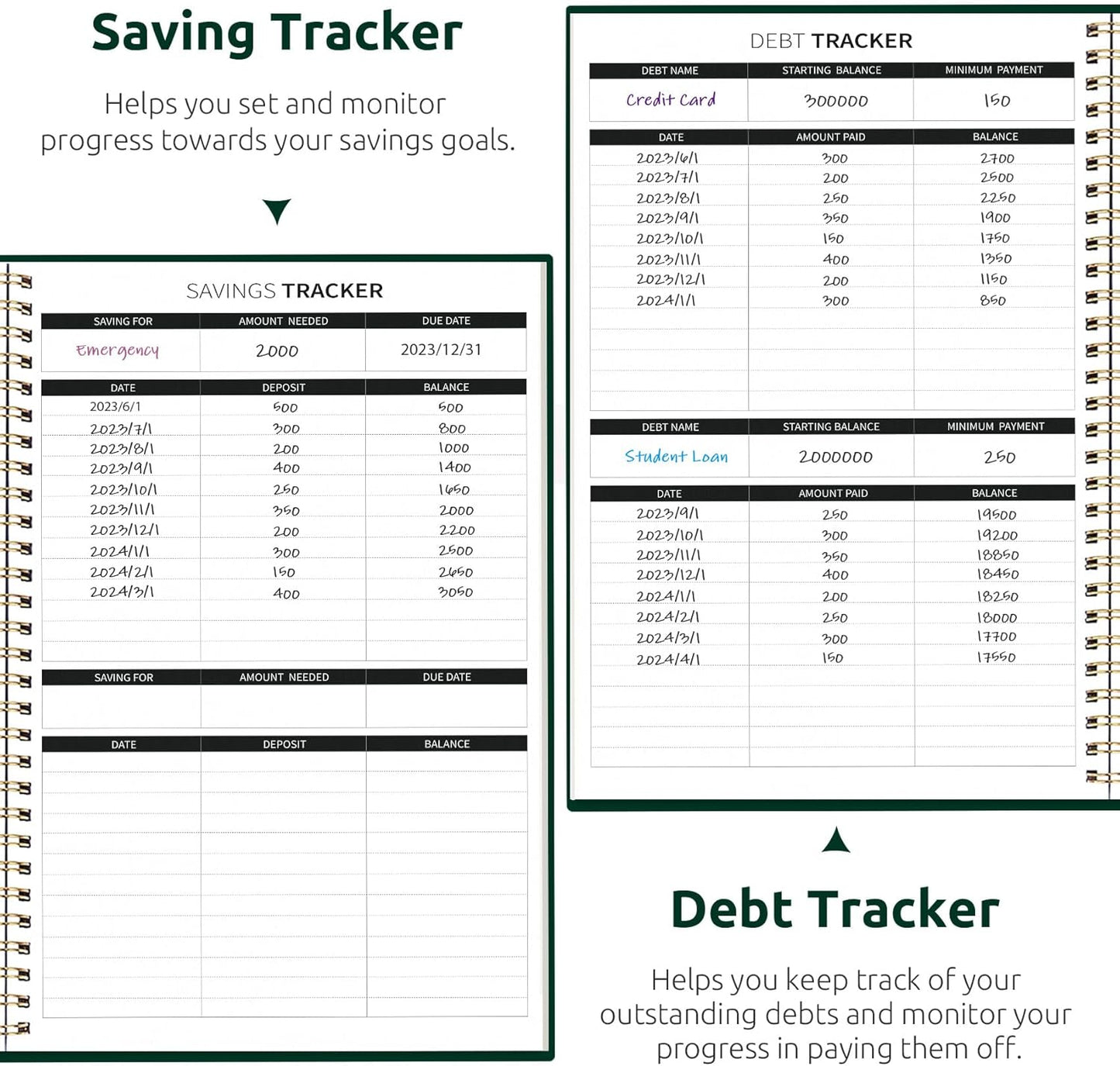 Aesthetic Budget Planner - Monthly Finance Planner with Expense Tracker, Undated Bill Organizer, Budget Notebook to Manage Your Finances, Account Budget Book with Colorful Pattern - Butterfly