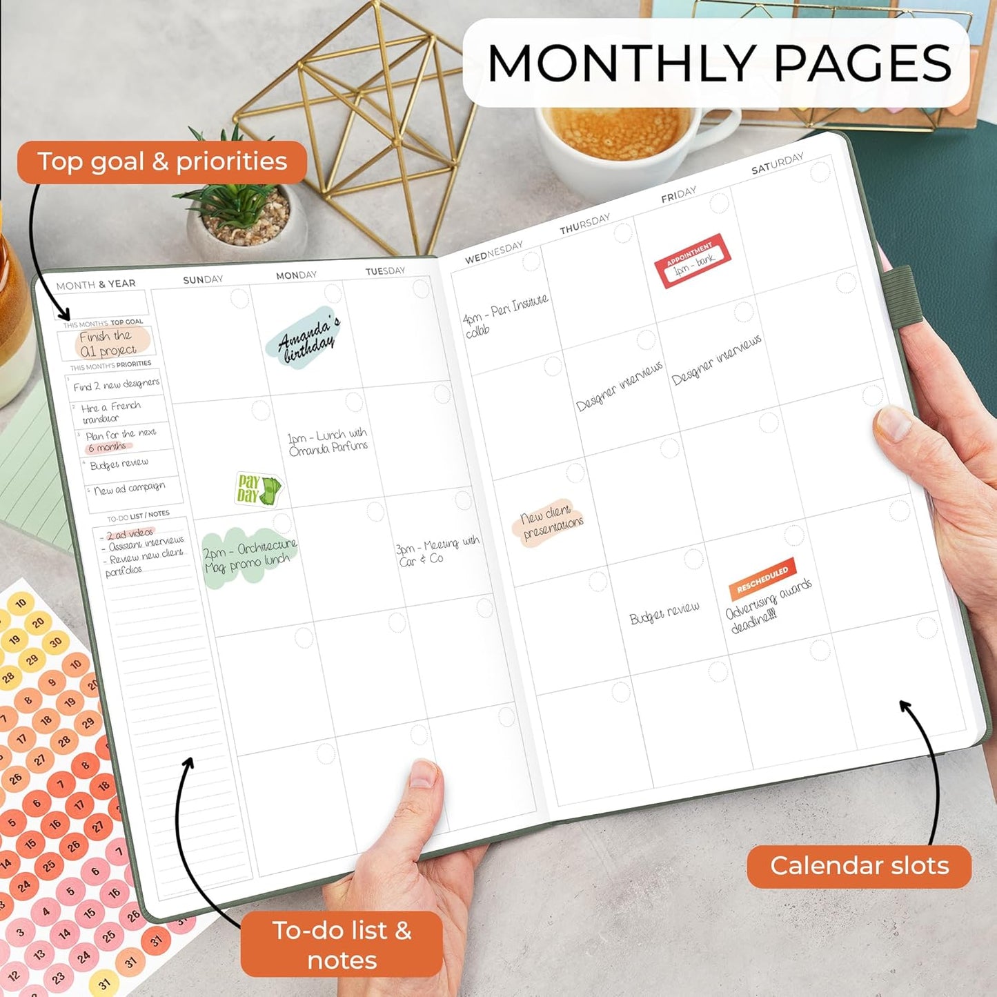 Clever Fox Appointment Book – Hourly Schedule Planner with 15-Minute Increments – Time Box Planner for Daily Work & To-Dos – Weekly & Monthly Spreads, Undated, Hardcover, 8.3x11″ (Cypress)