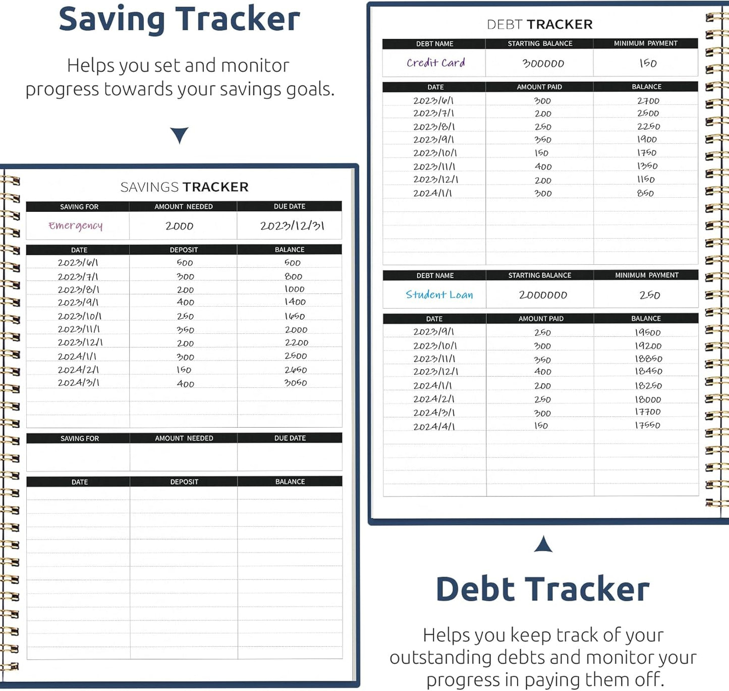 Aesthetic Budget Planner - Monthly Finance Planner with Expense Tracker, Undated Bill Organizer, Budget Notebook to Manage Your Finances, Account Budget Book with Colorful Pattern - Blue Floral