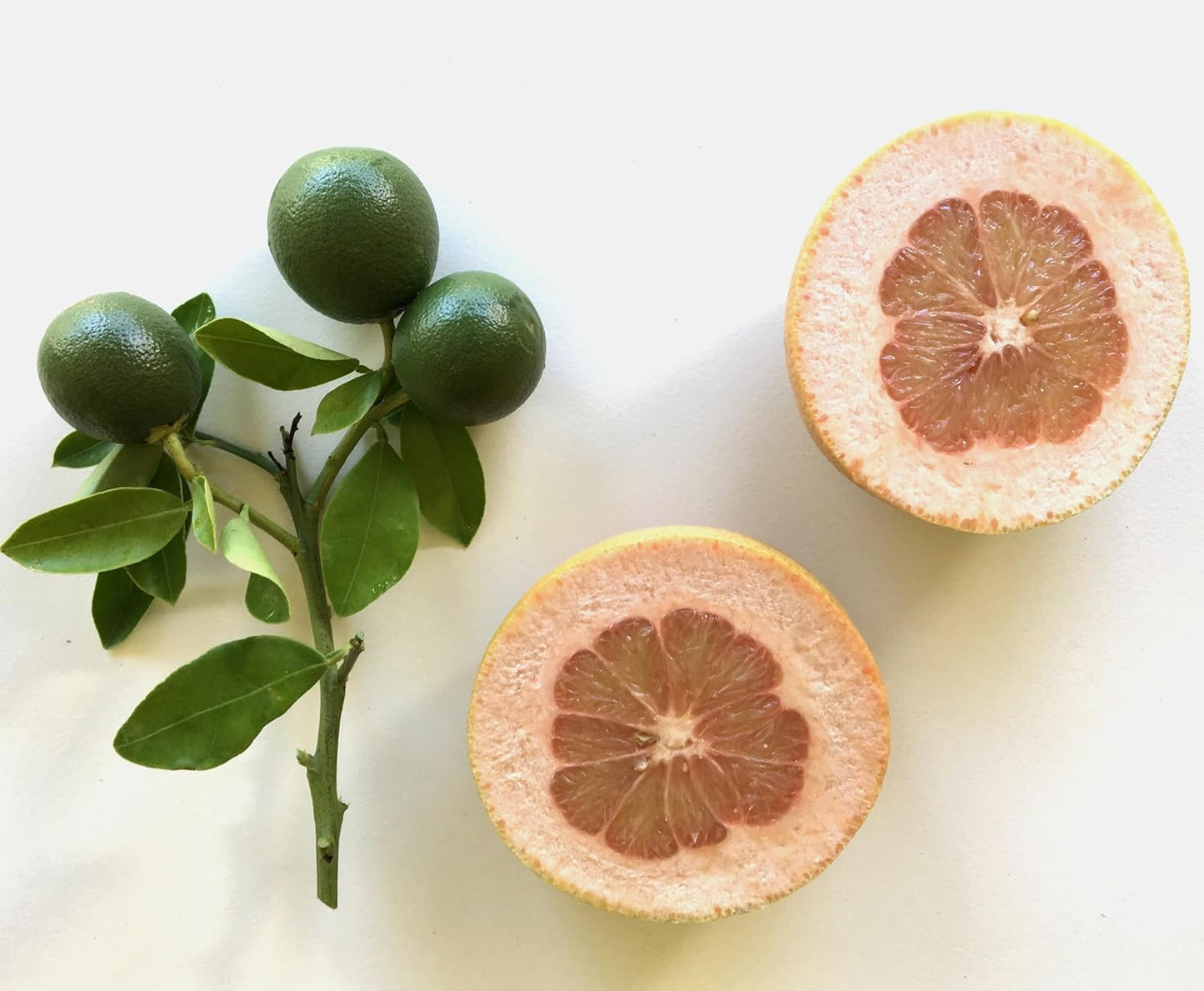 Murchison-Hume All-Purpose Cleaner - Vegan, Plant-Based, and Biodegradable Formula, Safe for Household Surfaces, 17 fl. Oz Refillable Spray Bottle - Pack of 2 (Australian White Grapefruit)