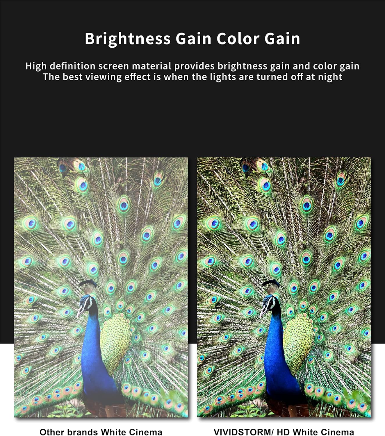 VIVIDSTORM- Projector Screen S 100 Inch Portable Folding Stand Floor Rising Movie Screen Sound Transparent Perforated White Screen Compatible with Ordinary Projector,VWSDSTPW100H