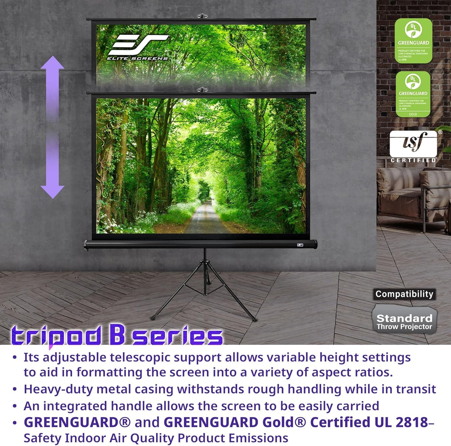 Elite Screens Tripod B, 85-INCH 1:1, Lightweight Pull Up Foldable Stand, Manual, Movie Home Theater Projector Screen, 4K / 8K Ultra HDR 3D Ready, 2-YEAR WARRANTY, T85SB